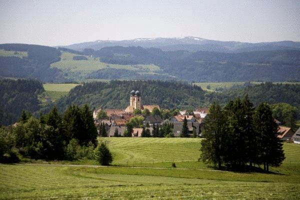 Gastehaus Wald Und See Titisee-Neustadt Exterior foto